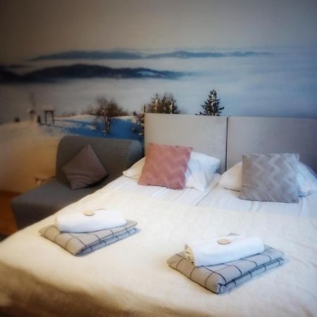 Przy Stoku I Potoku Appartement Wisła Buitenkant foto