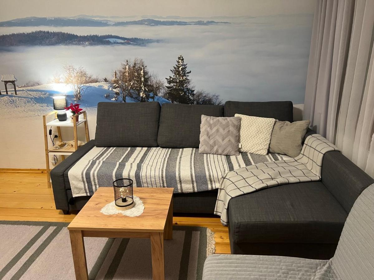 Przy Stoku I Potoku Appartement Wisła Buitenkant foto