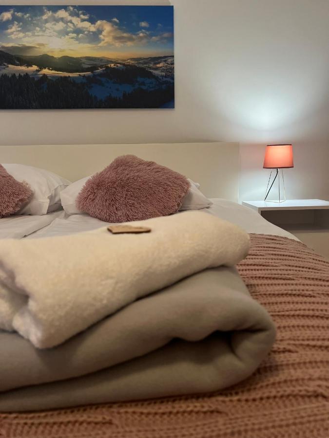 Przy Stoku I Potoku Appartement Wisła Buitenkant foto