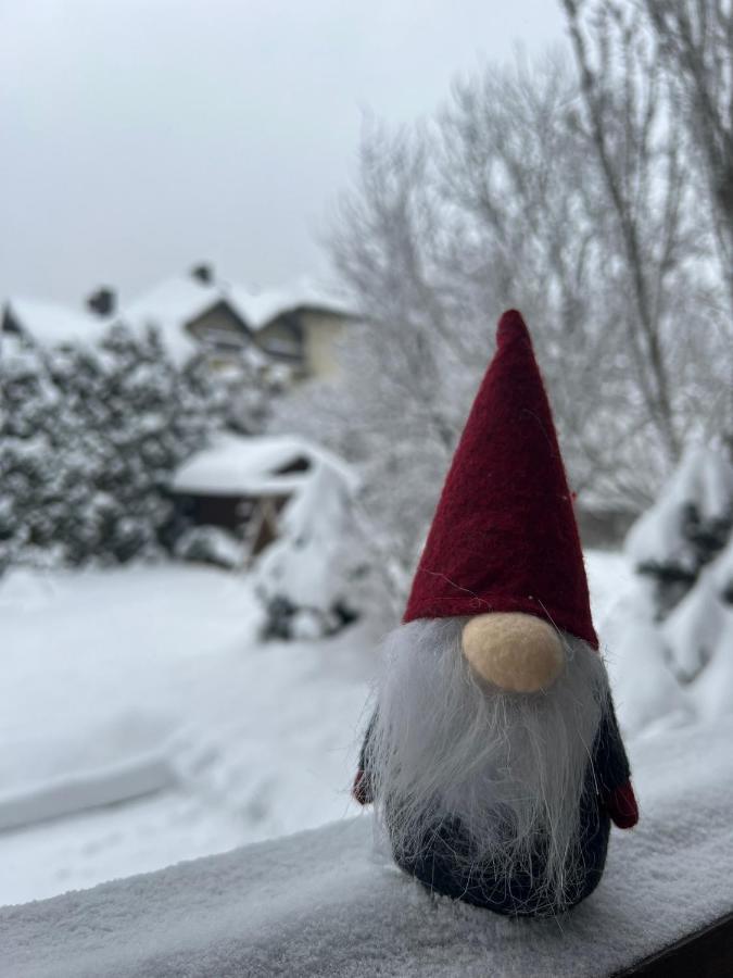 Przy Stoku I Potoku Appartement Wisła Buitenkant foto