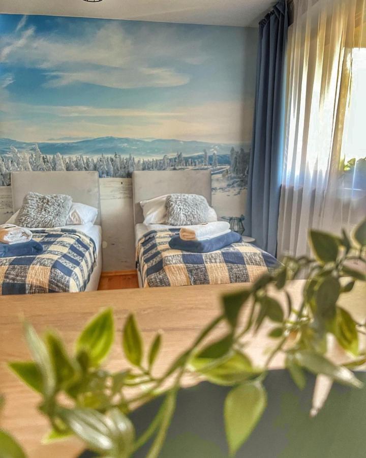 Przy Stoku I Potoku Appartement Wisła Buitenkant foto